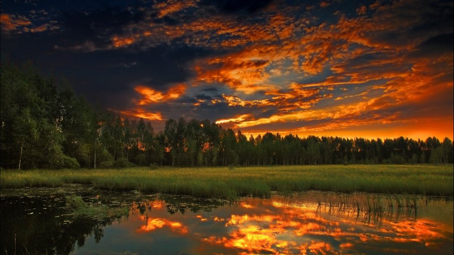 Wonderful Sunset Lake and Green Forest