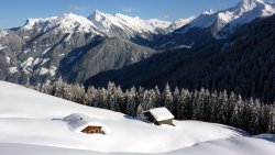 Wonderful Winter Forest and Snowed Meadow