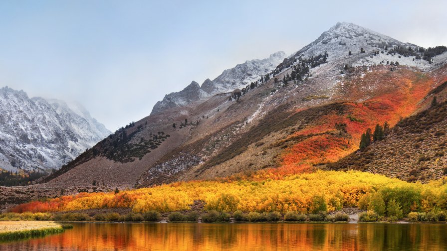 Wonderful Yellow Autumn Forest and Mountains