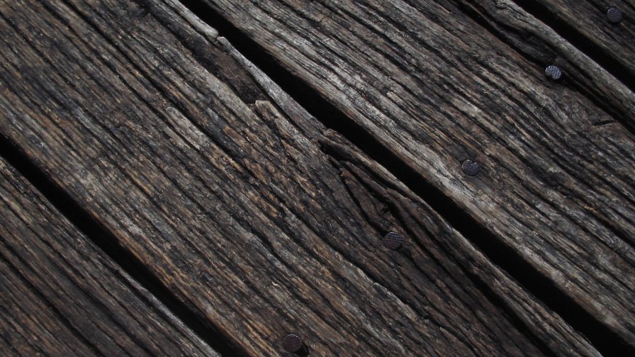 Wood Texture