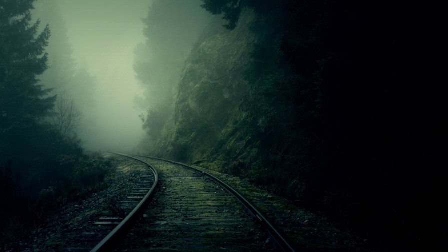 Abandoned Railroad and Gloomy Forest