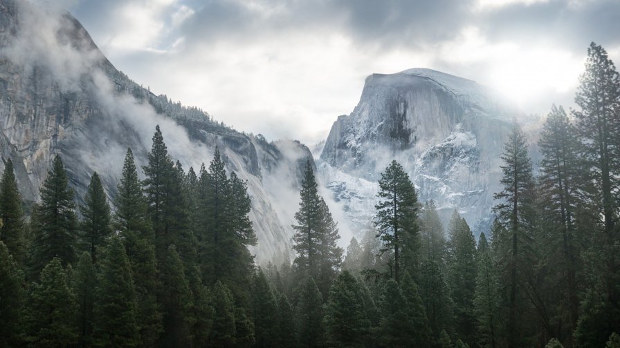 Beautiful Foggy Forest in Mountain Valley