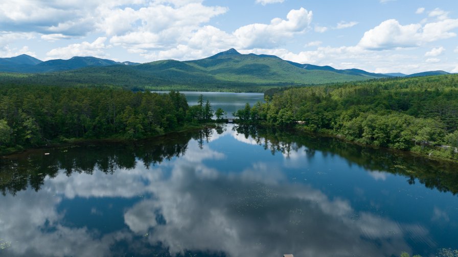 Beautiful Lake and Green Forest