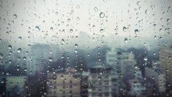 Drops of Rain on Glass