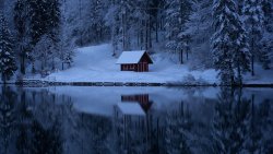 Lake in Winter Forest and Lone House