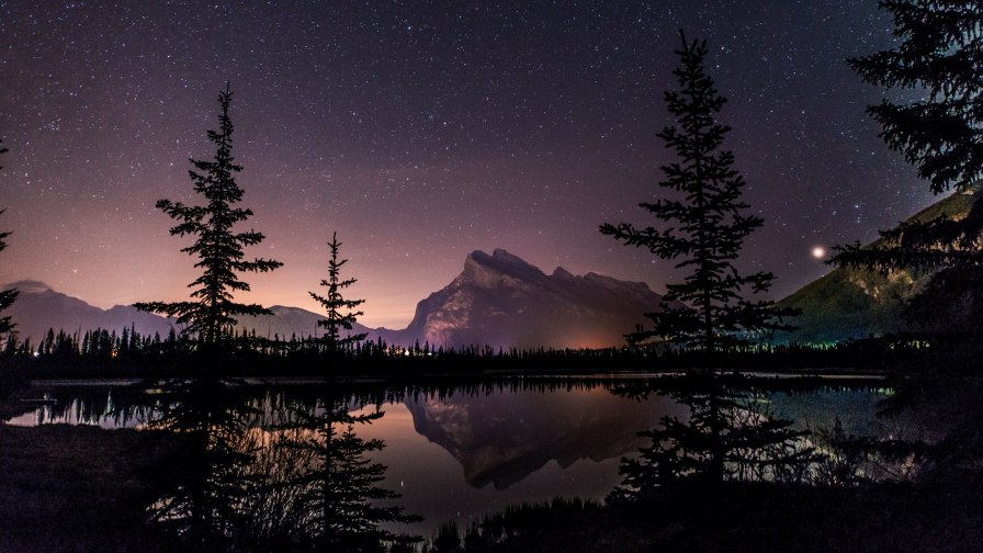 Night Forest and Lake