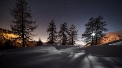 Night in Winter Forest and Starry Sky