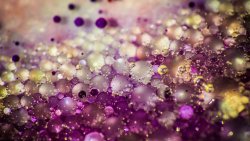 Purple Oil Bubbles Close Up