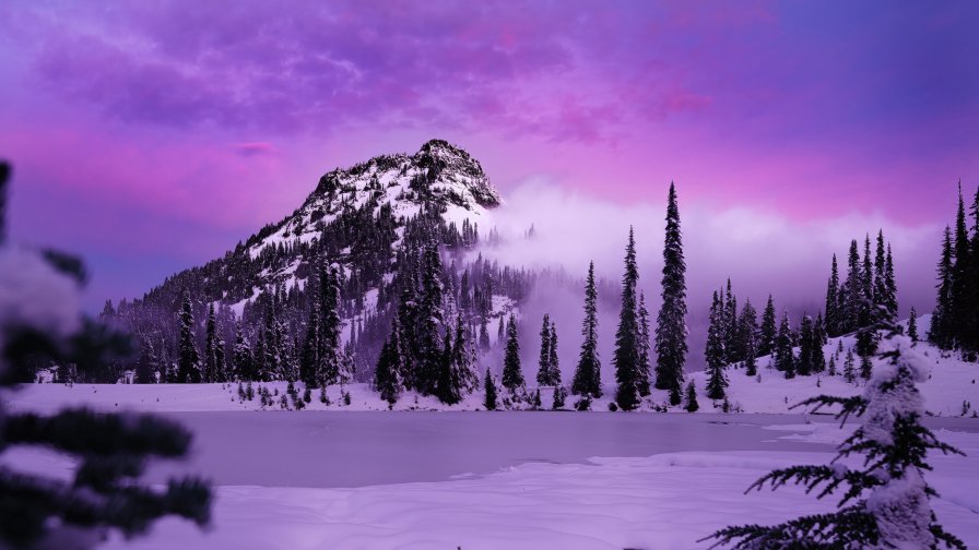 Snow Covered Mountains and Purple Light