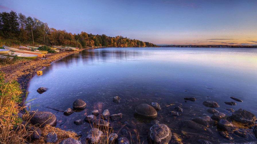 Stones in Lake and Green Forest