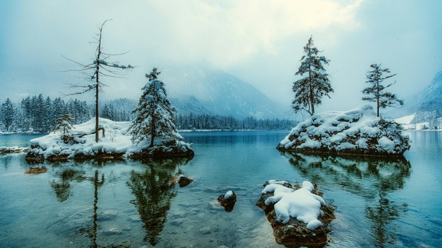 Winter Lake and Rocks with Trees